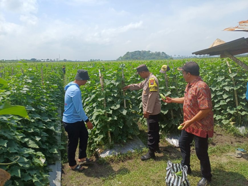 Bhabinkamtibmas Turun ke Petani, Polres Malang Petakan Kendala Pertanian